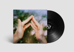 Regnvåde Sale - LP / Blaue Blume / 2025