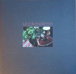 Prophetic Spirit - LP+7" (RSD 2019 Vinyl) / Moon Express / 2019