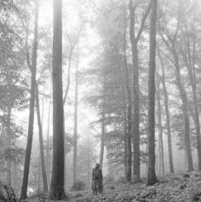 Folklore - 2LP / Taylor Swift / 2020