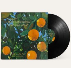 Violet Bent Backwards Over The Grass - LP / Lana Del Rey / 2020