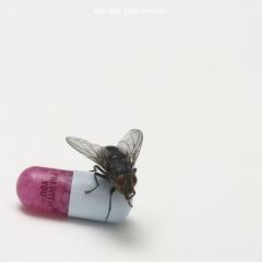 I'm With You - cd / Red Hot Chili Peppers / 2011