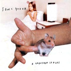 A Thousand Leaves - cd / Sonic Youth / 1998