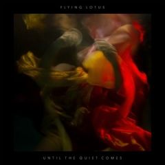Until The Quiet Comes - 2LP / Flying Lotus / 2012
