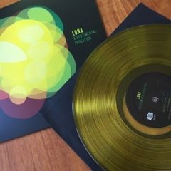 A Sentimental Education - LP (Gul vinyl) / Luna / 2017