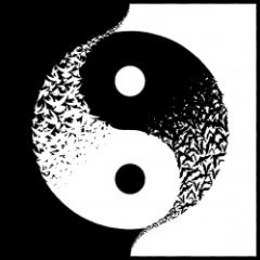 Halvt Til Helt - CD / Magtens Korridorer / 2018