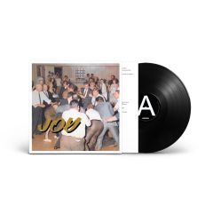 Joy As An Act Of Resistance - LP / Idles / 2018