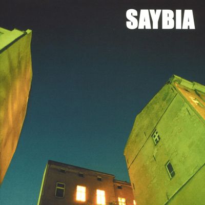 Saybia - The Second You Sleep - LP