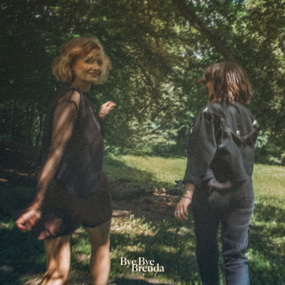 Landmarks - LP / Bye Bye Brenda / 2025