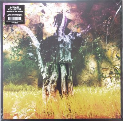 Meeting of the Waters - 12" EP (RSD 2017 Vinyl) / Animal Collective / 2017