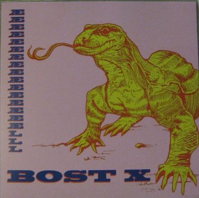 Æææææææææææææææælll - LP / Bost X / 2013