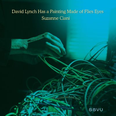 David Lynch Has A Painting Made Of Flies Eyes / Suzanne Ciani - 7" (RSD BF 2022 Vinyl) / SSVU / 2022