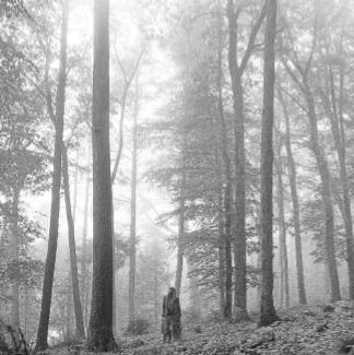 Folklore - 2LP / Taylor Swift / 2020