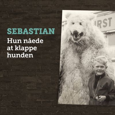 Hun Nåede At Klappe Hunden - CD / Sebastian / 2019