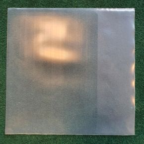Protected - 12inch Sleeve PE (0,15 mm)