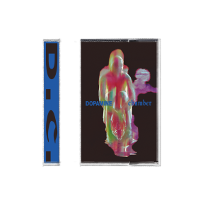 Fontaines D.C. - Dopamine Chamber - MC