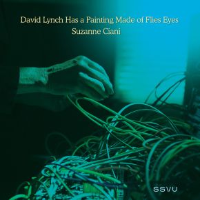 SSVU - David Lynch Has A Painting Made Of Flies Eyes / Suzanne Ciani - 7" (RSD BF 2022 Vinyl)